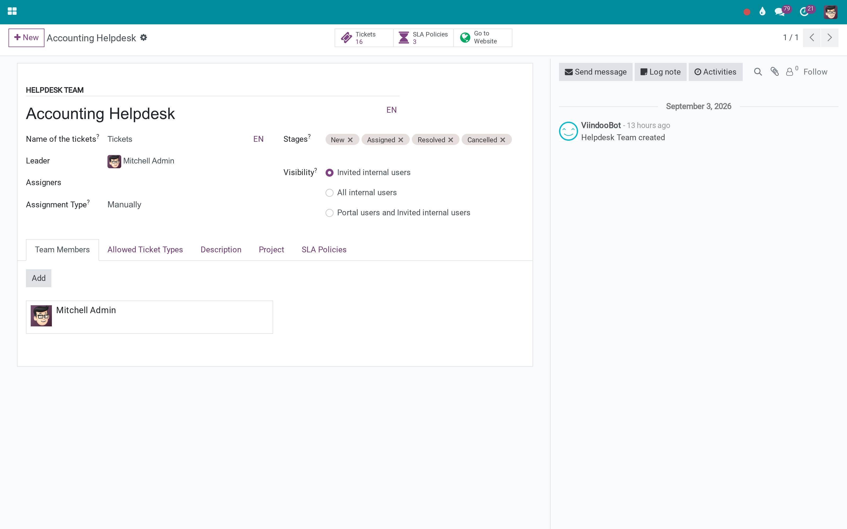 A helpdesk team with its website settings