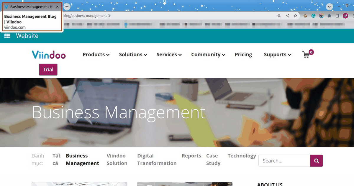 Website SEO for Blog