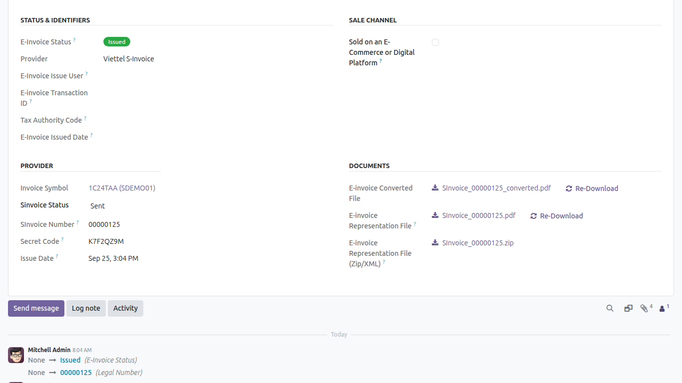 The Documents section of the E-Invoice tab with the generated files ready to download