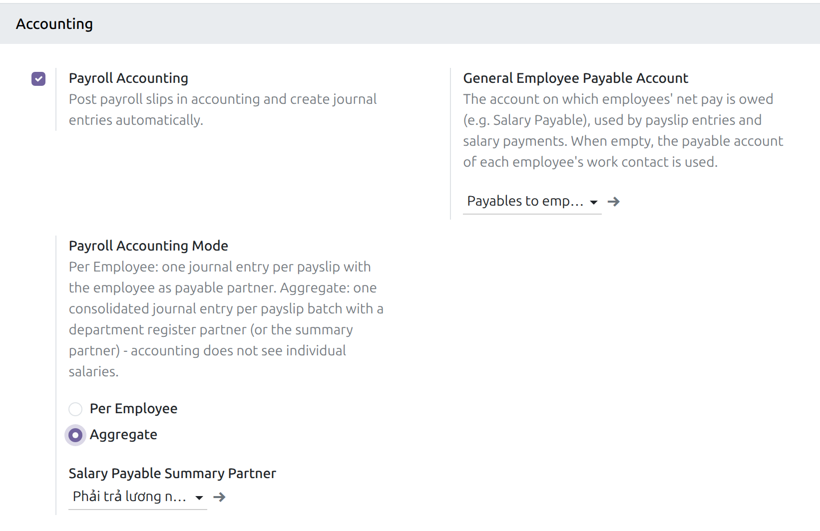 The Accounting section of the Payroll settings with the Aggregate mode and the summary partner