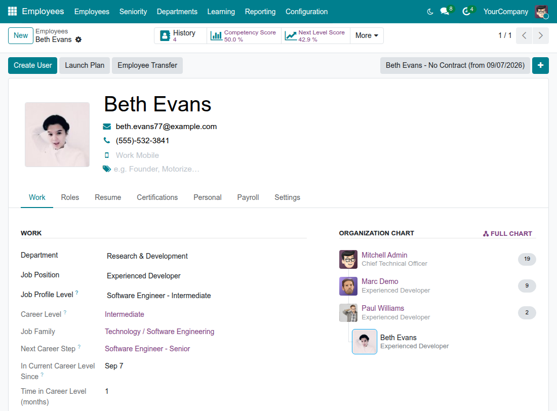 The Work tab of an employee with the job profile level, career level, next career step and time in the current level