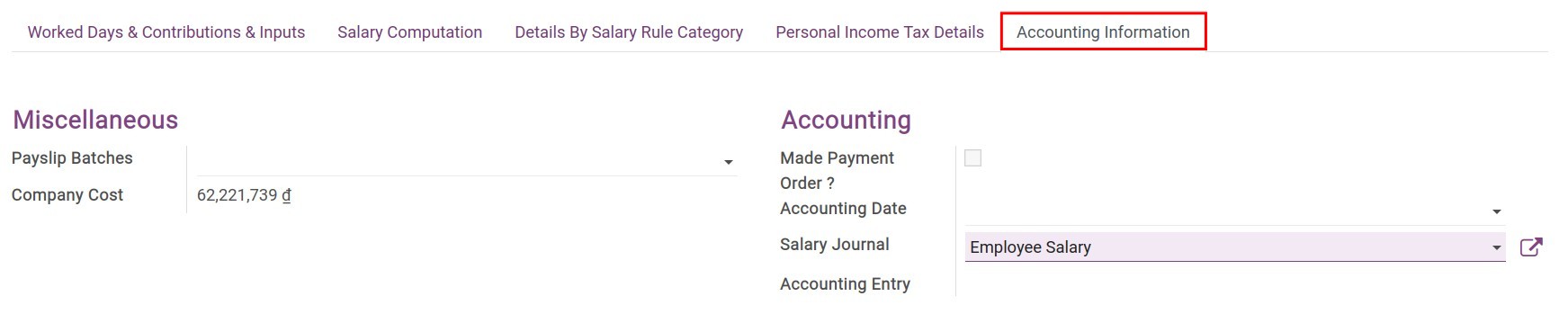 Accounting information tab in Viindoo payslip