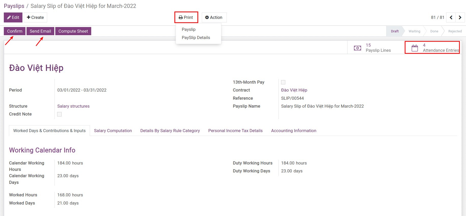 Viindoo payslip view