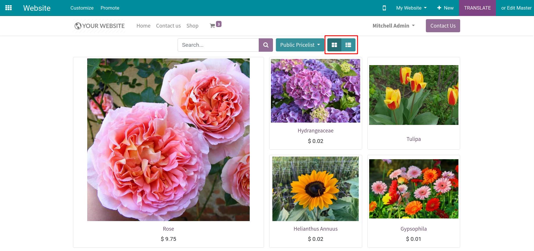 Grid or list buttons