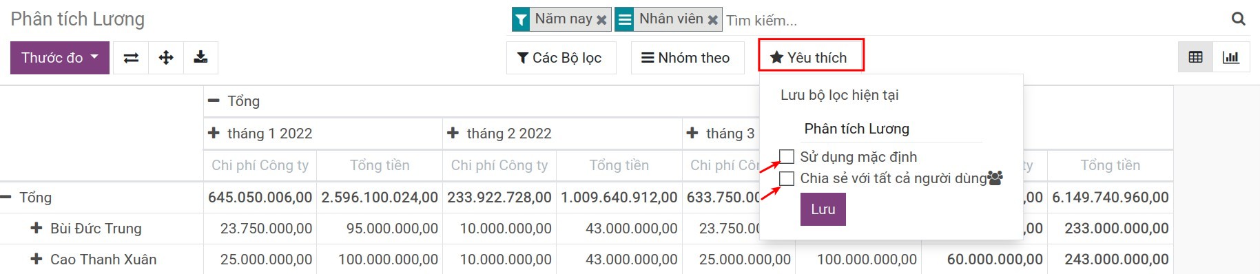Bộ lọc yêu thích - Phần mềm quản lý tiền lương Viindoo