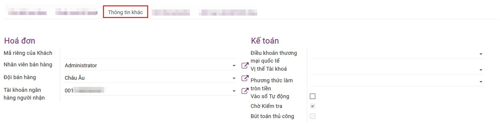 Tab thông tin khác - Phần mềm kế toán Viindoo