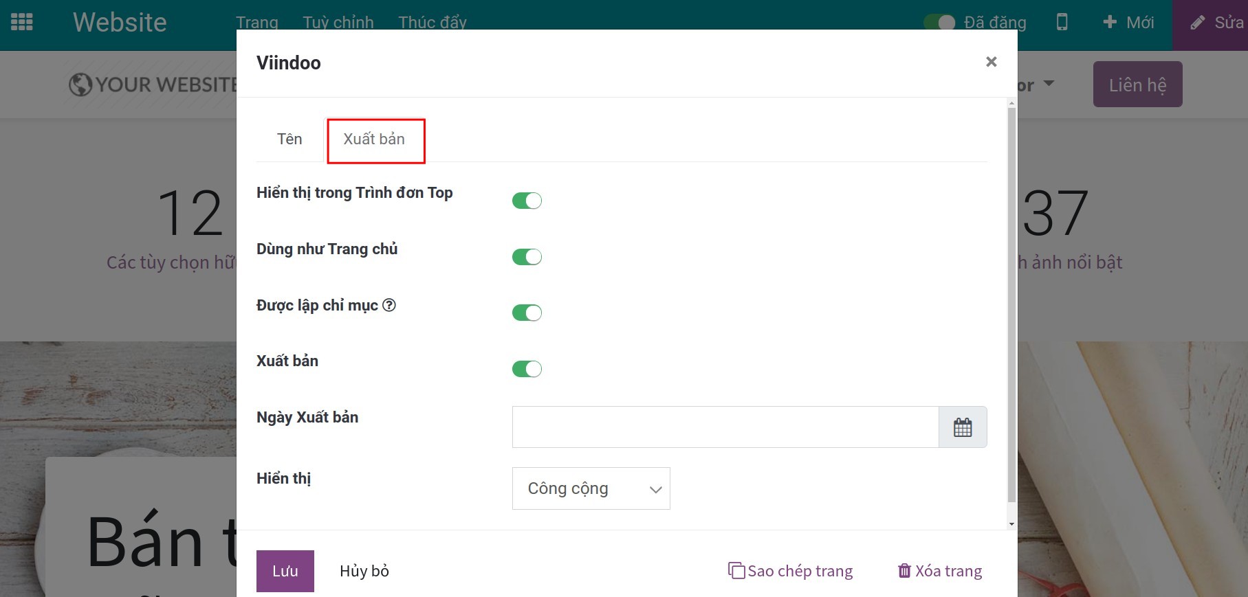 Thiết lập xuất bản trong thuộc tính trang