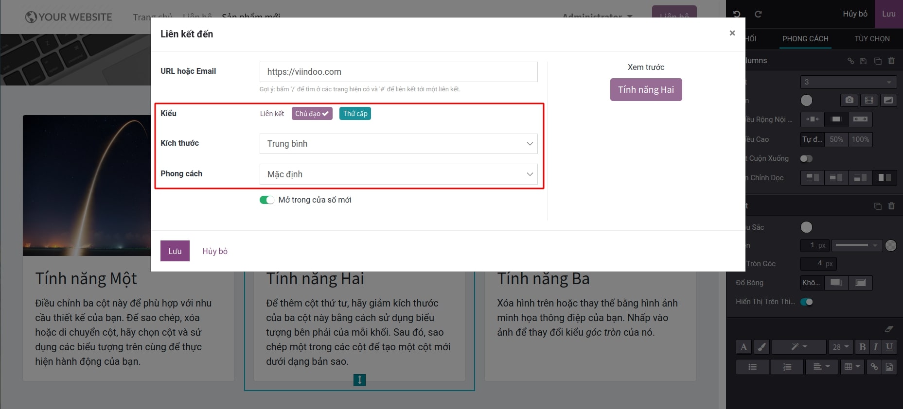 Kiểu hiển thị của nội dung được gán link