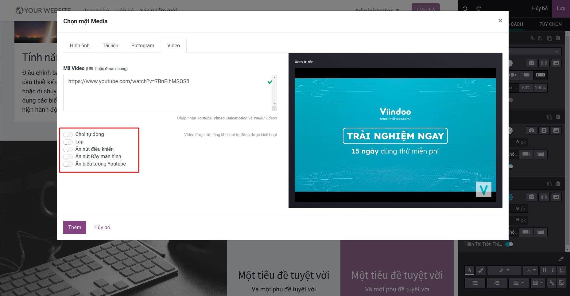 Tùy chọn hiển thị video