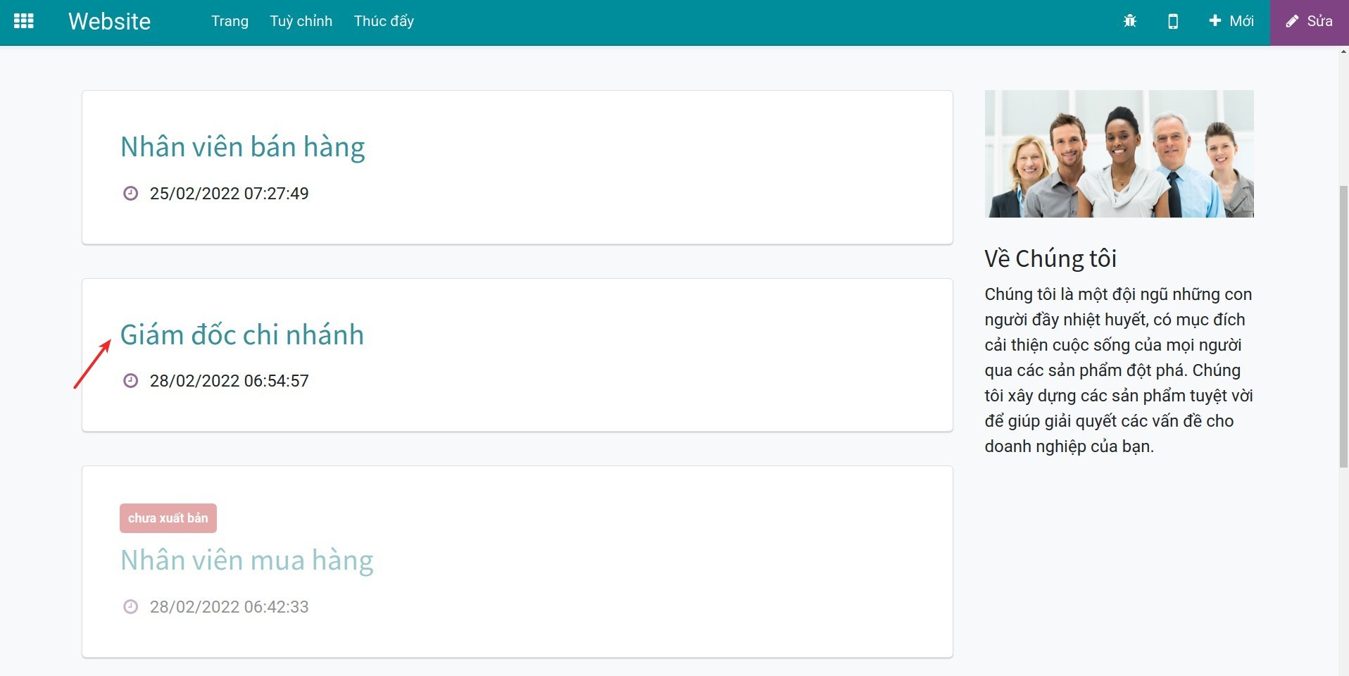 Chức vụ xuất bản trên website