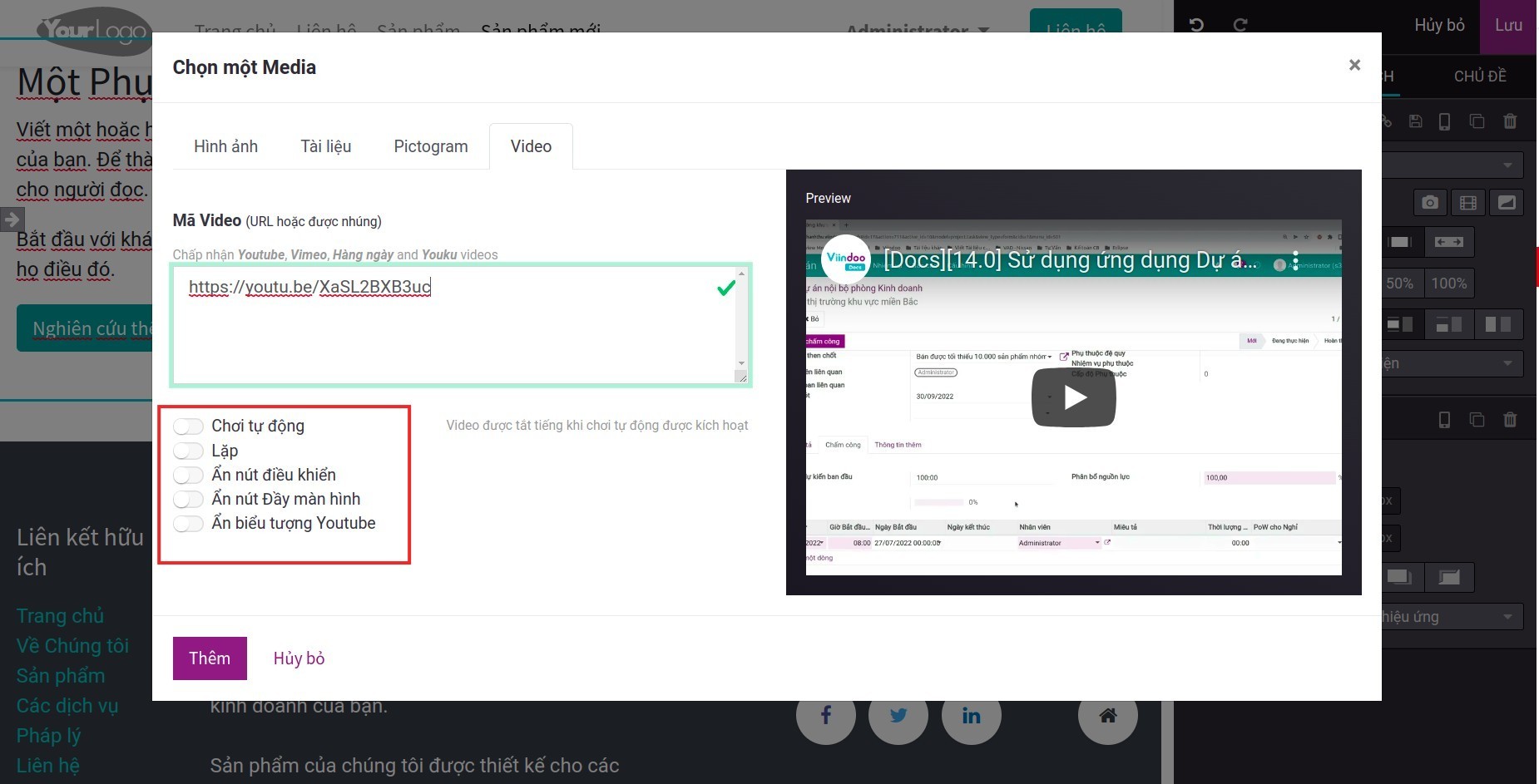 Tùy chọn hiển thị video