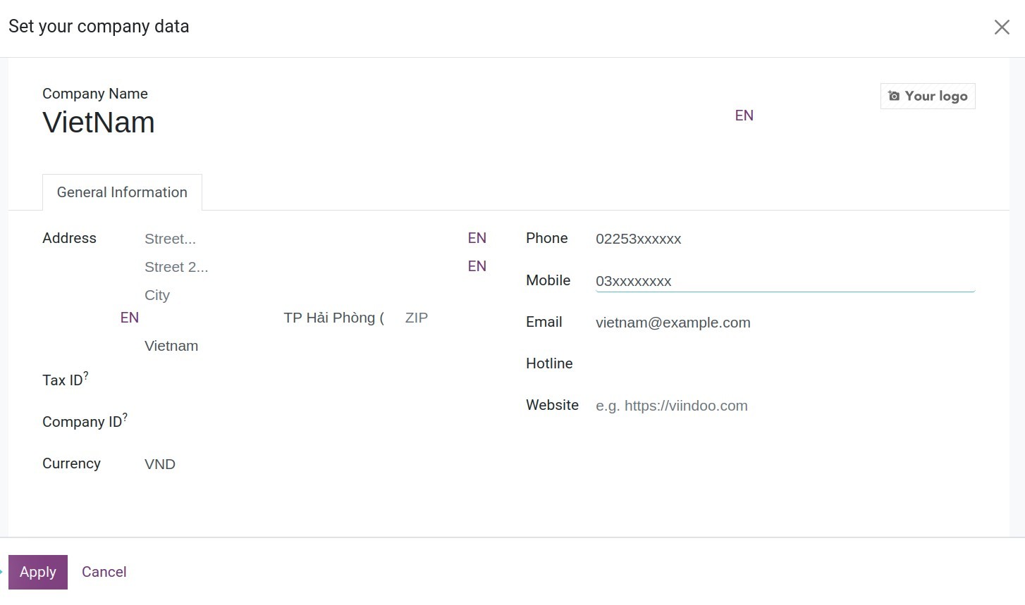 Company information configuration - Viindoo