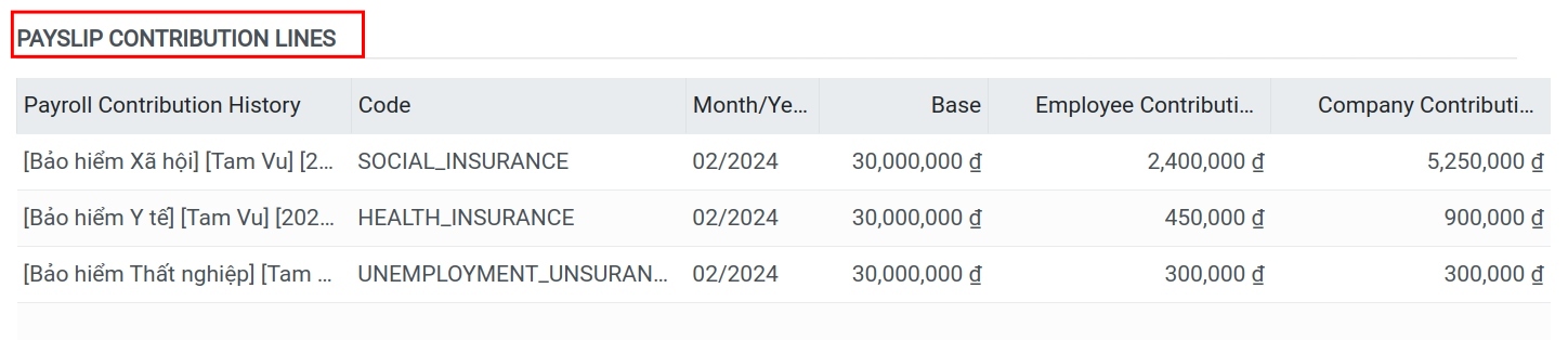Payslip Contribution Lines