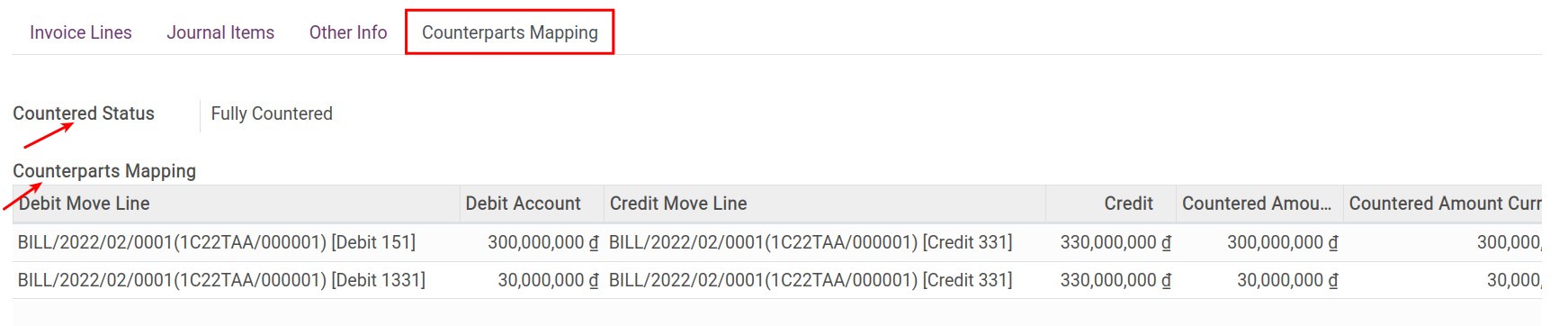 Counterparts Mapping tab - Viindoo accounting software