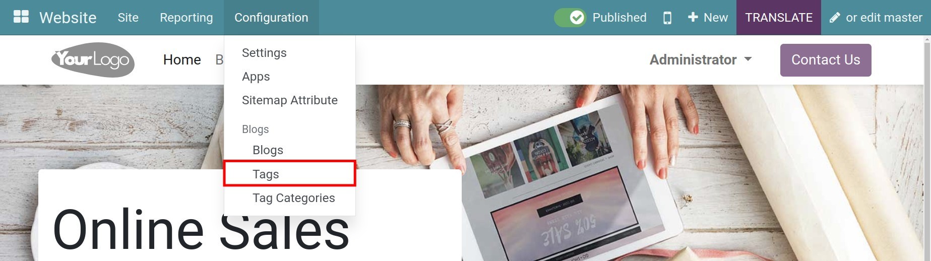 create tags in Viindoo