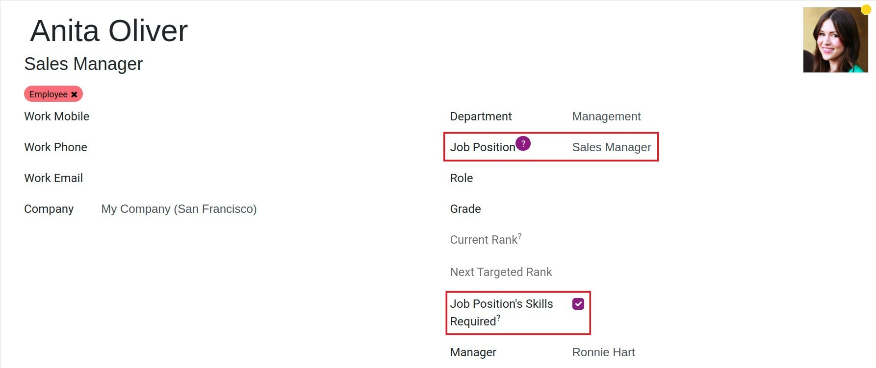 Apply skills framework by job position