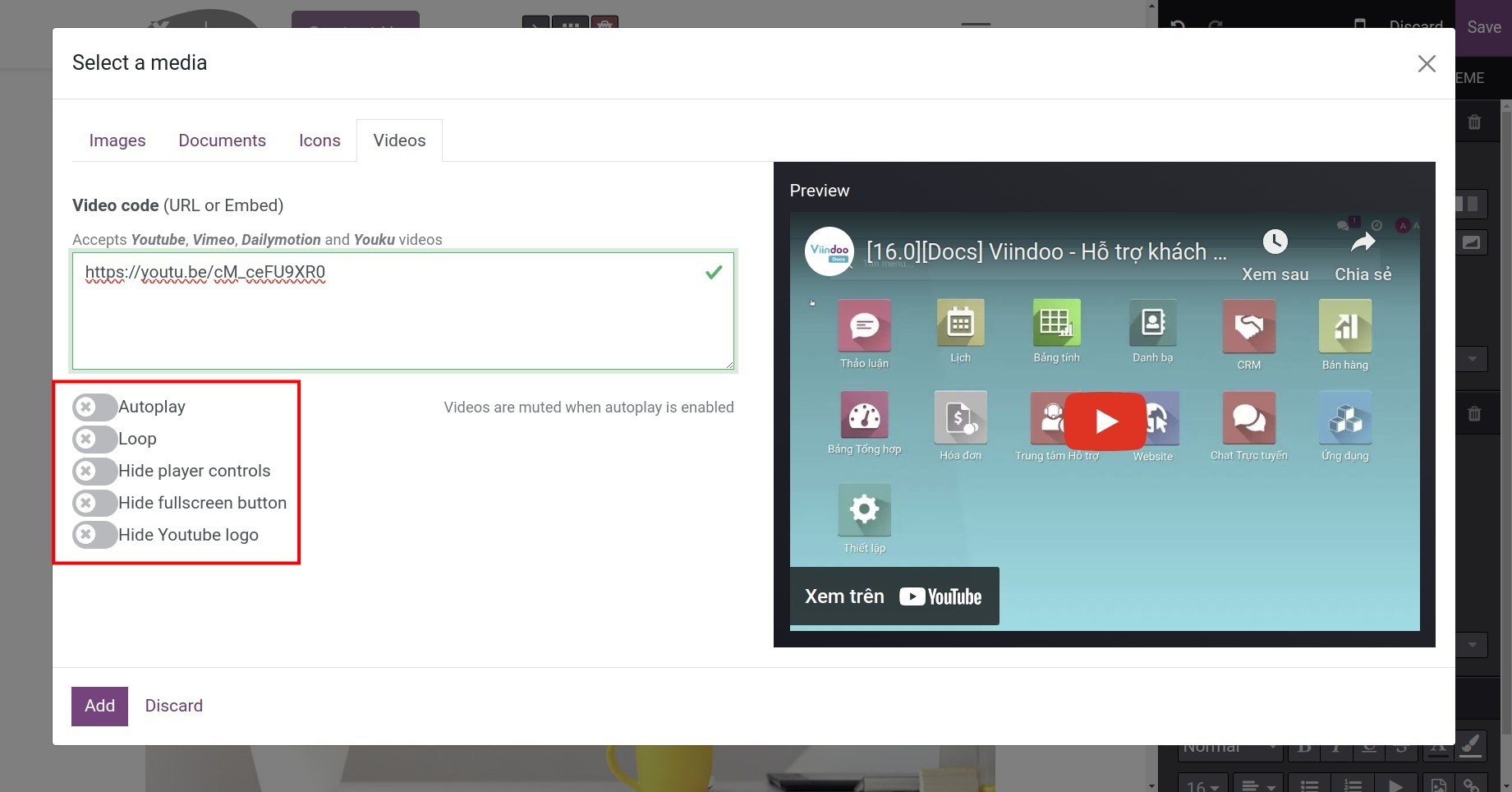 Display options of videos
