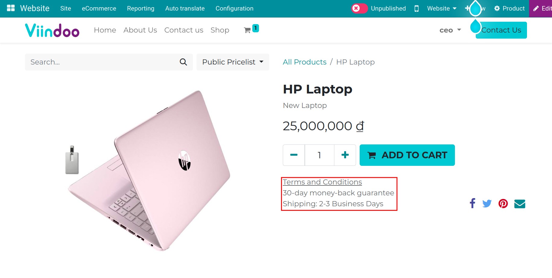 Terms and Conditions