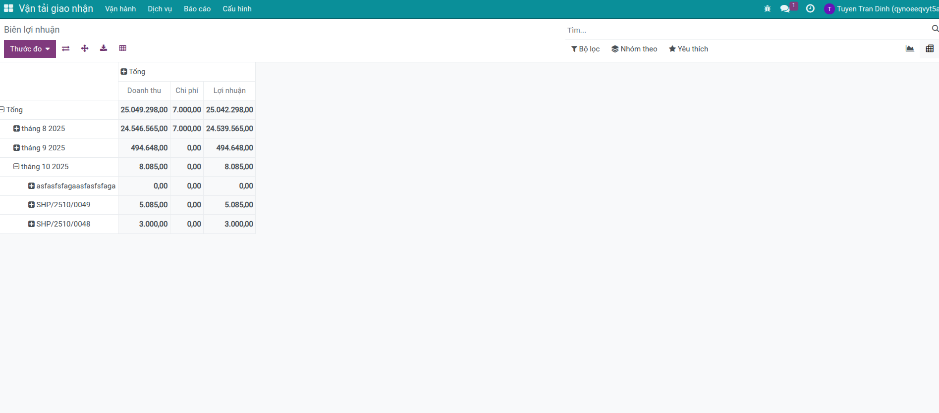 Pivot view báo cáo Profitability