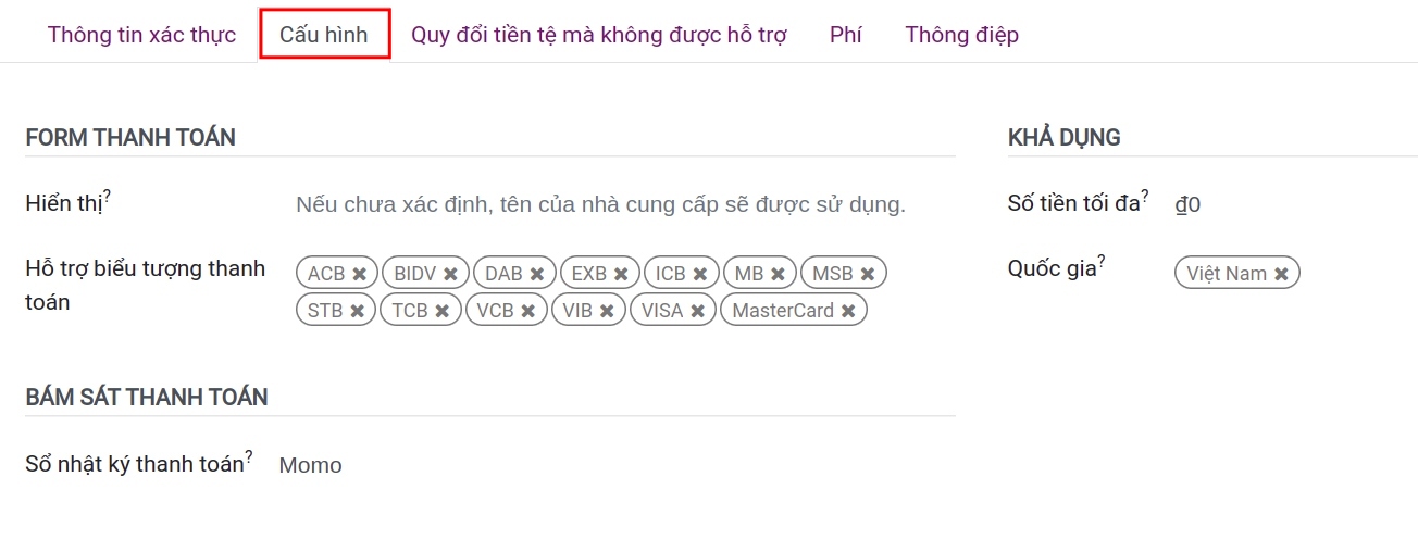 Tab Cấu hình nhà cung cấp dịch vụ thanh toán - Viindoo Accounting