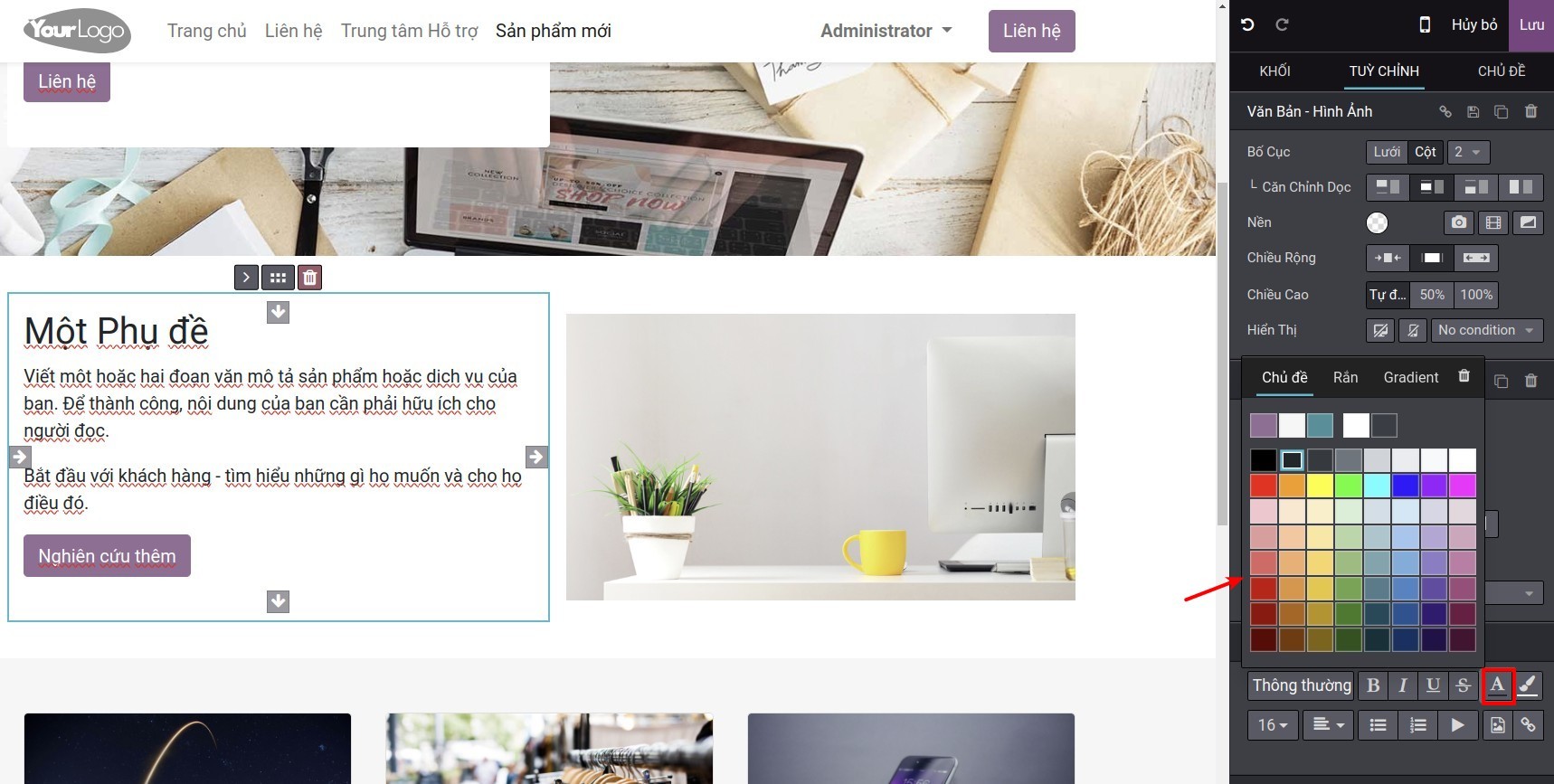 Chỉnh sửa màu phông chữ của văn bản