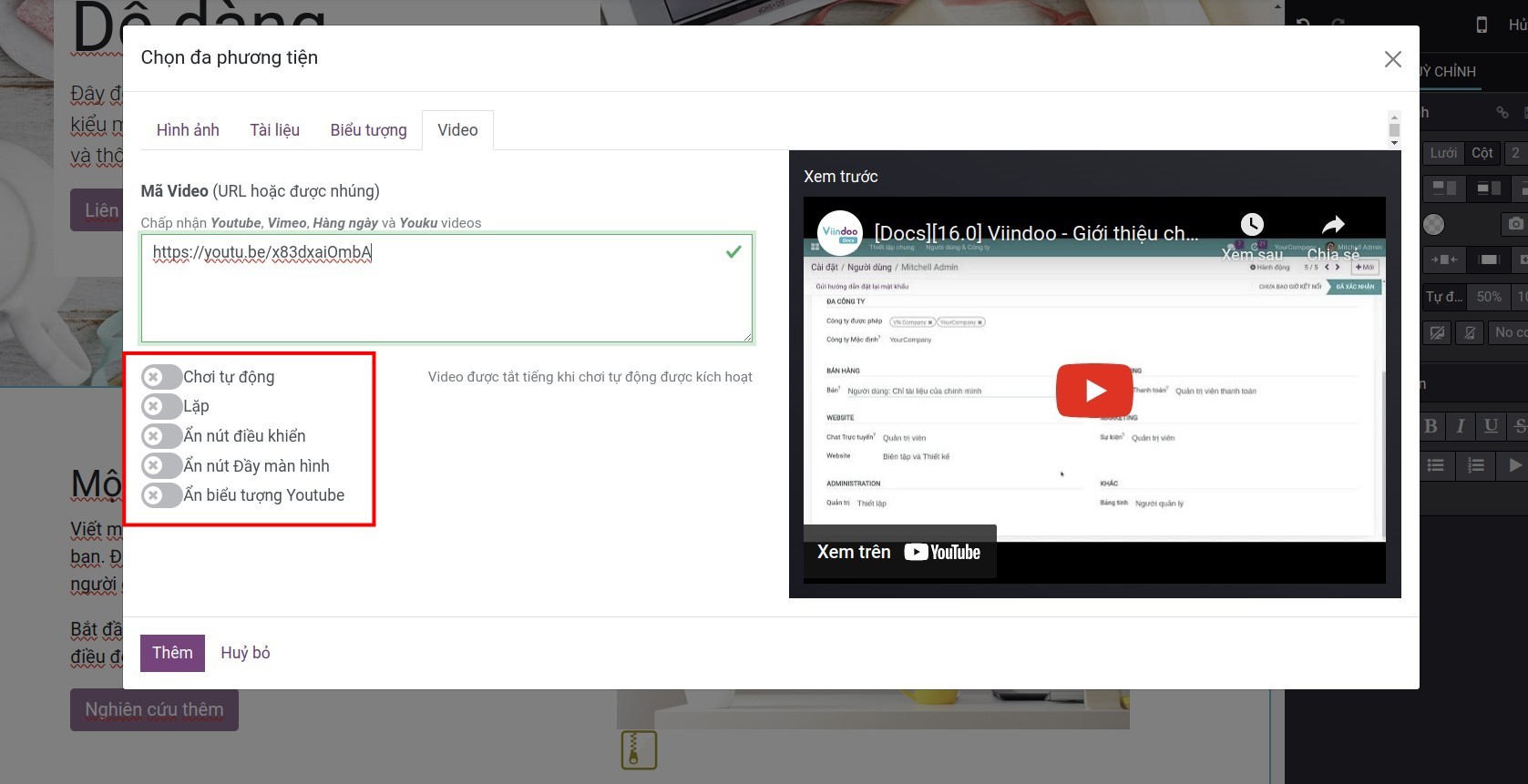 Tùy chọn hiển thị video