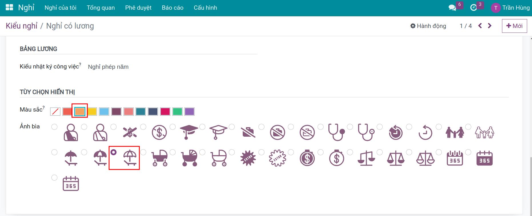Tùy chọn hiển thị