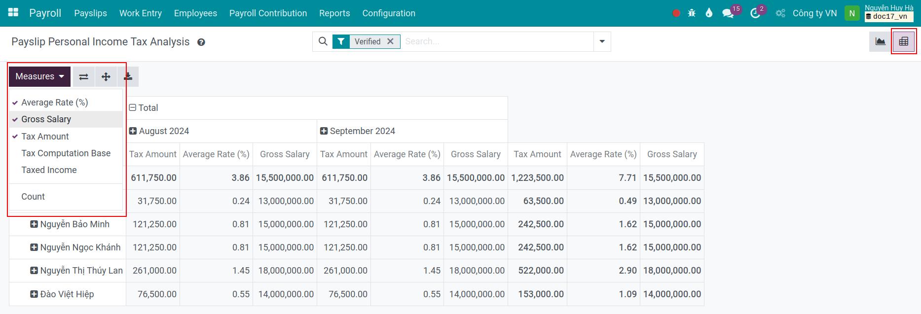 Viindoo personal income tax analysis in pivot view