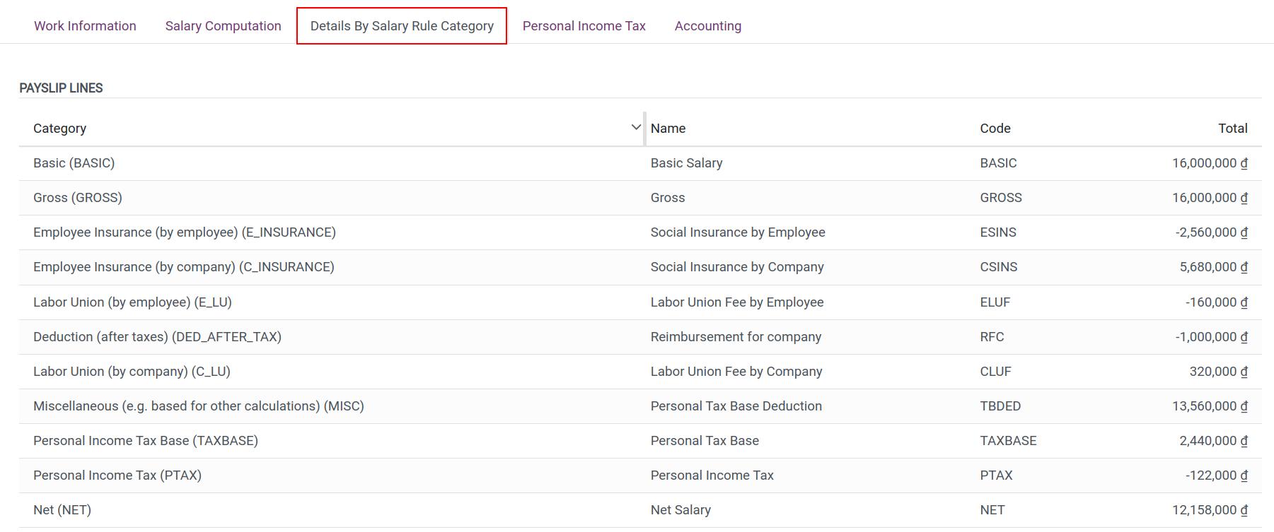 Details By Salary Rule Category tab in Viindoo payslip