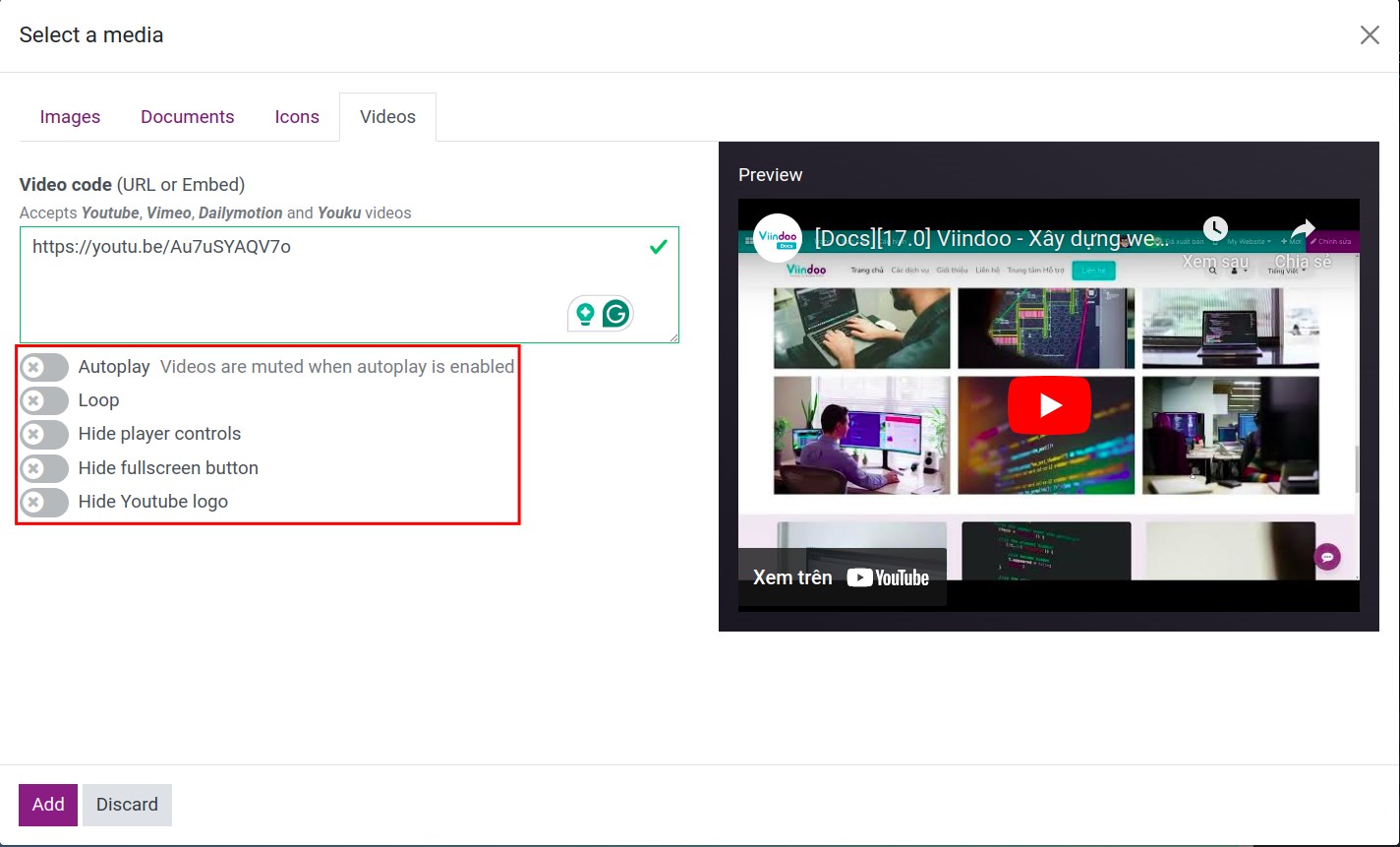Display options of videos