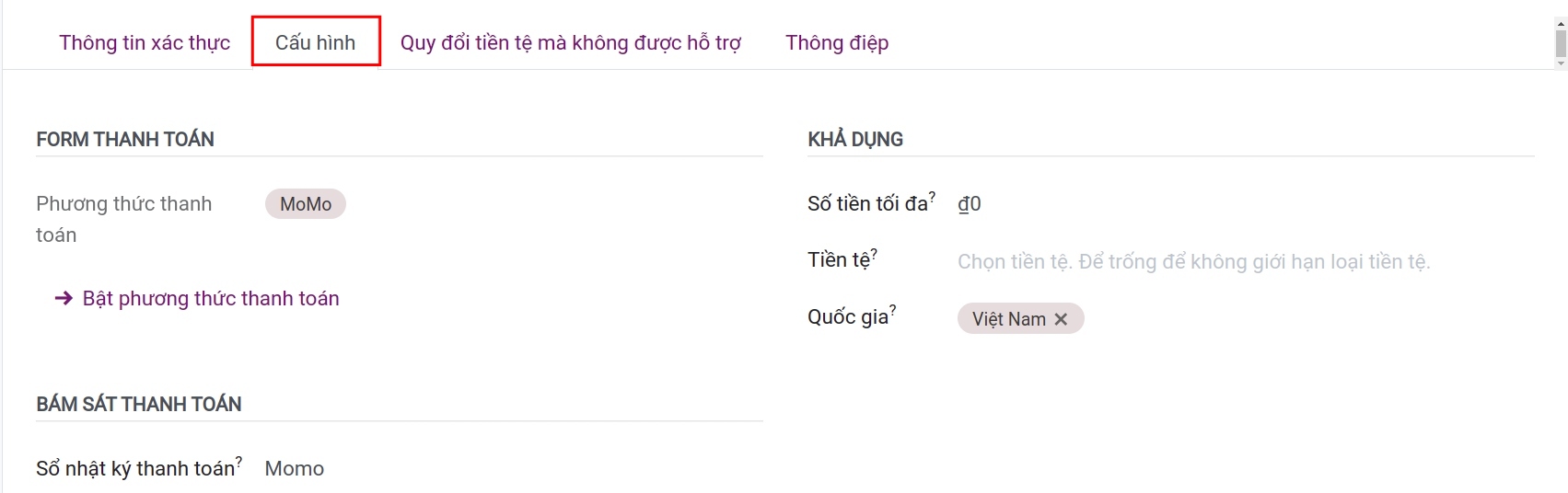 Tab Cấu hình nhà cung cấp dịch vụ thanh toán - Viindoo Accounting