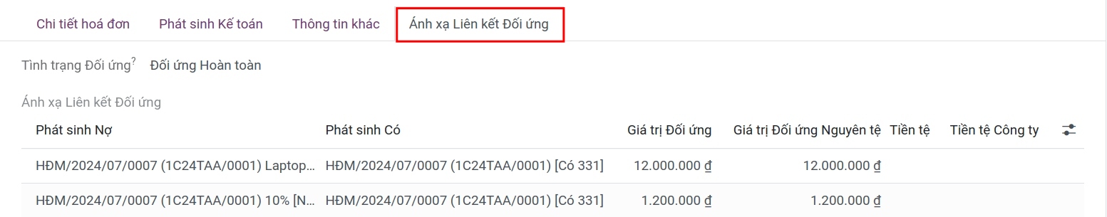 Ánh xạ liên kết đối ứng - Viindoo accounting software