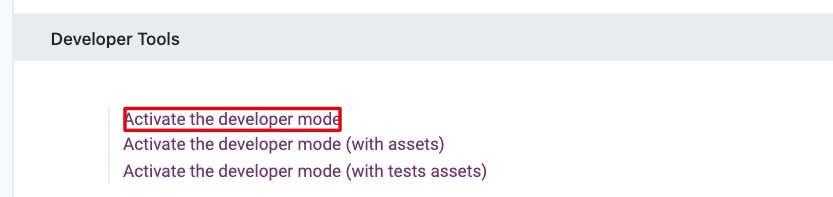 Activate the developer mode link in the Developer Tools section of Viindoo Settings