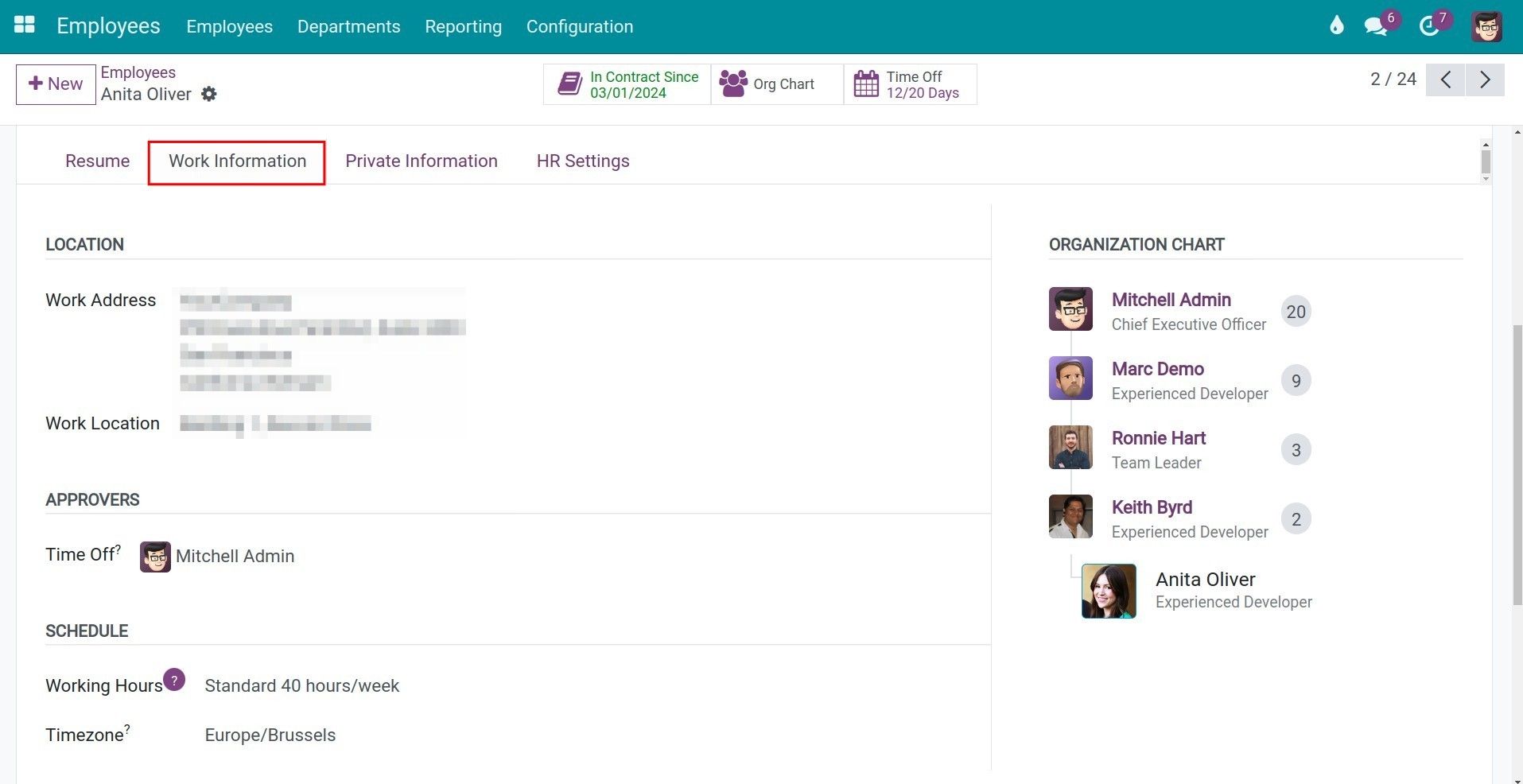 Viindoo user interface of Work Information