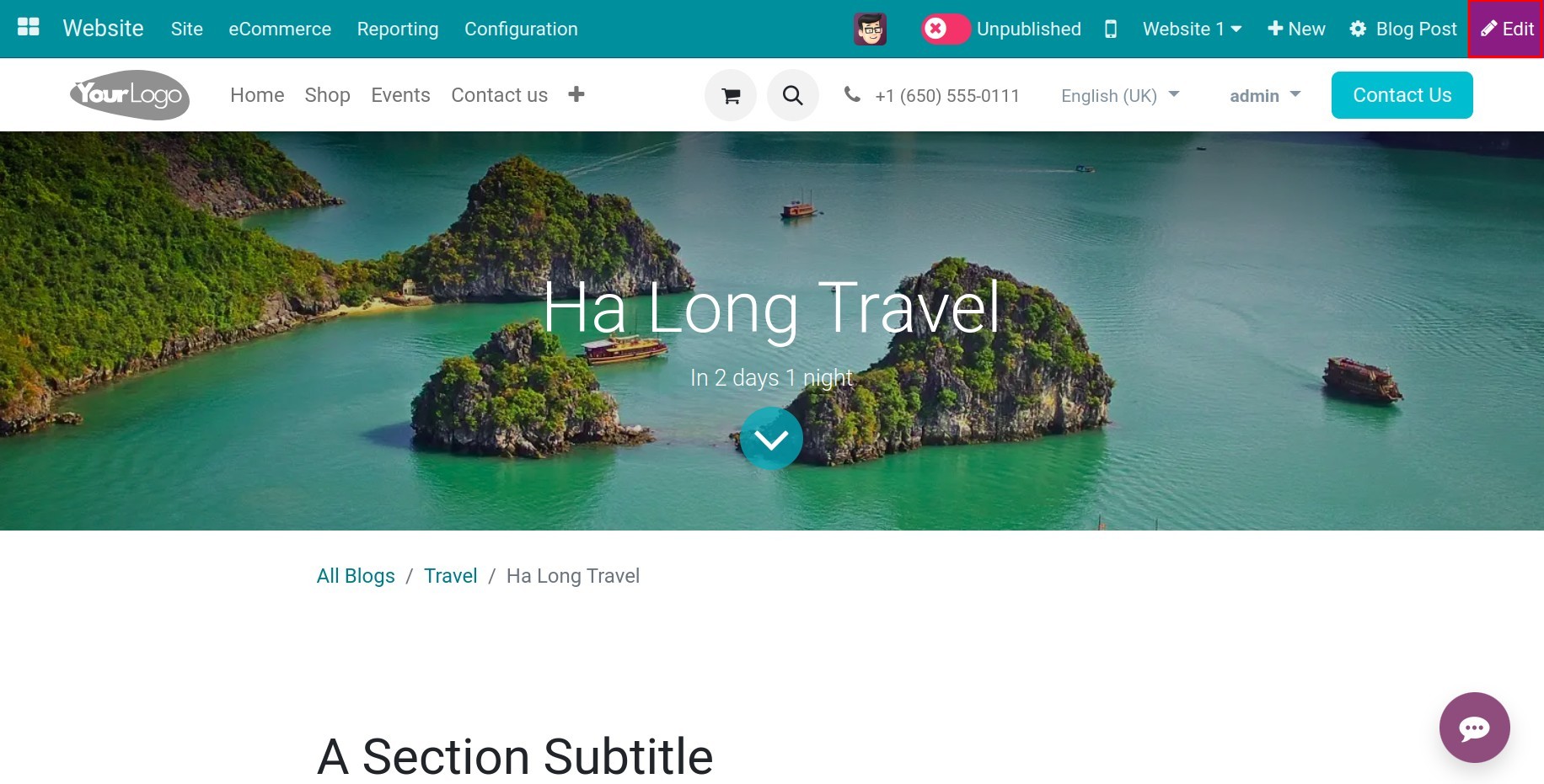 Edit blog on the website