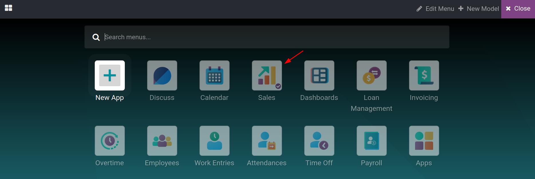 Viindoo customize interface
