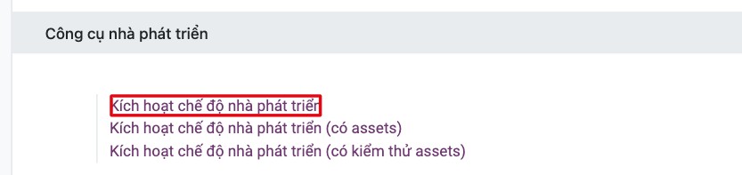 Liên kết Kích hoạt chế độ nhà phát triển trong mục Công cụ nhà phát triển của Thiết lập Viindoo