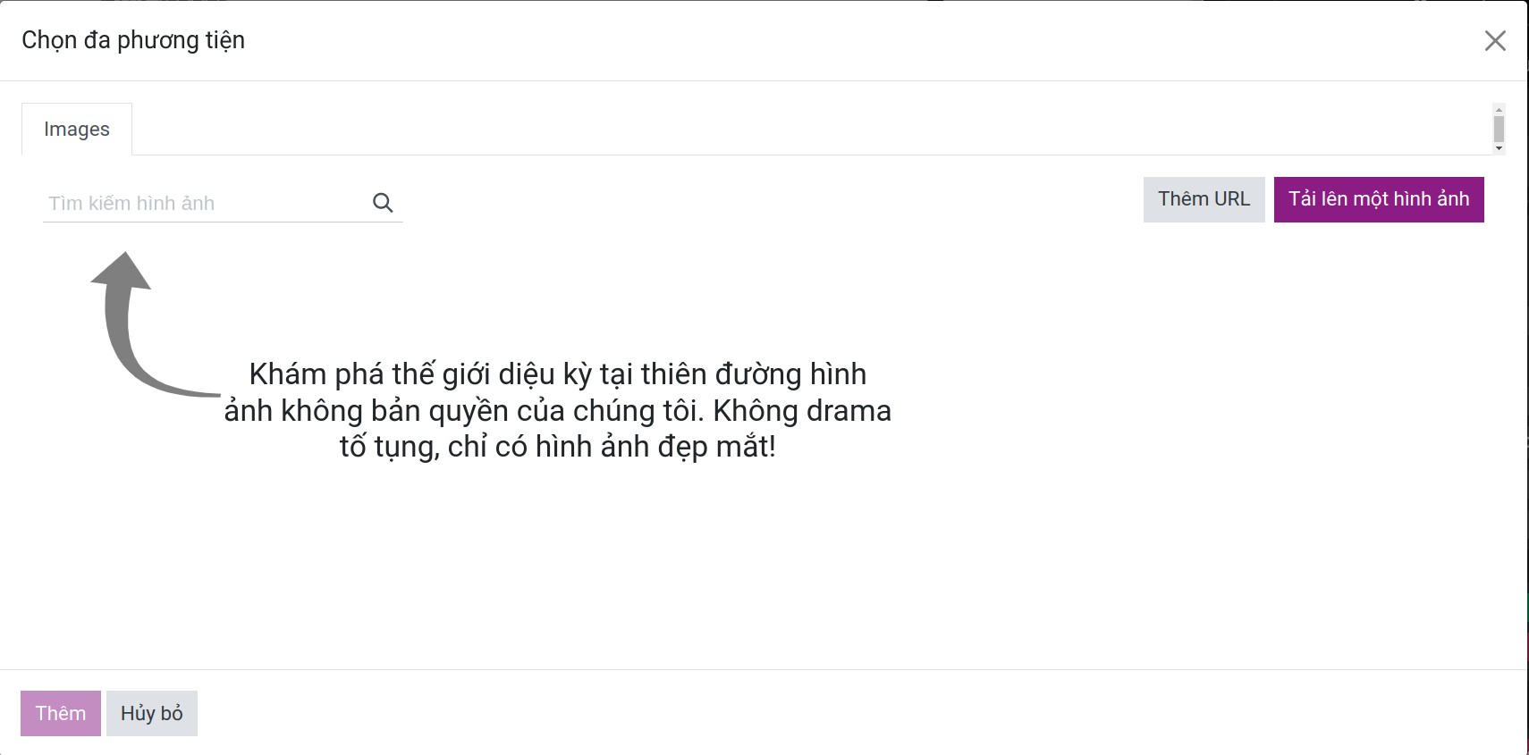 Cửa sổ chọn ảnh