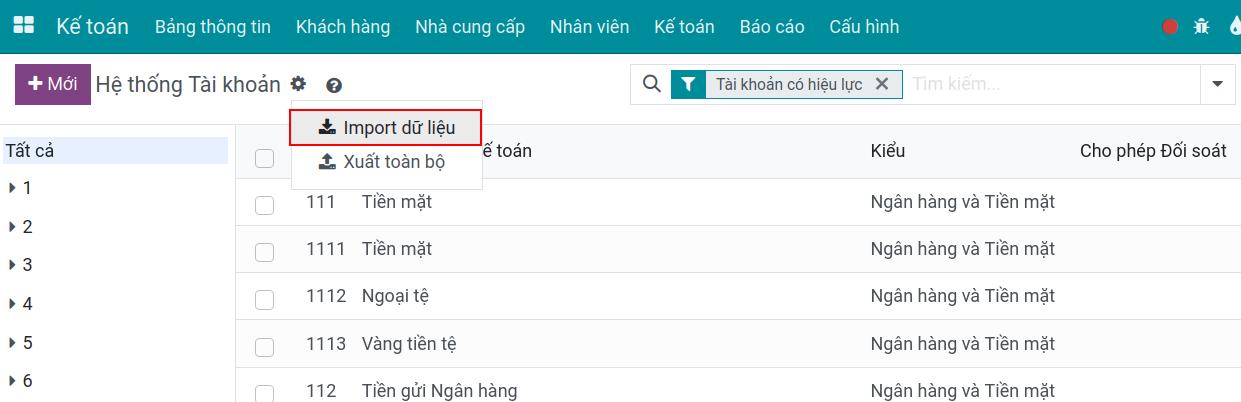 Nhập dữ liệu kế toán hàng loạt Viindoo