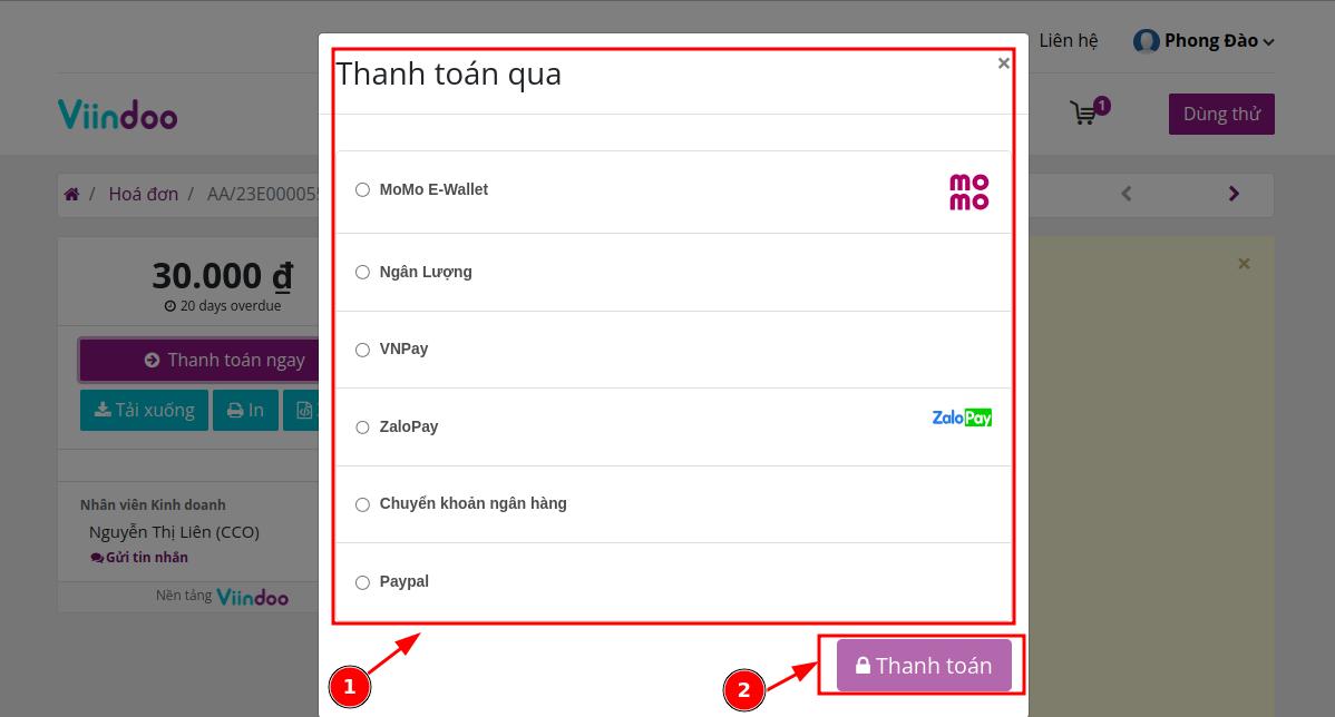 chọn phương thức thanh toán trực tuyến cho số dư