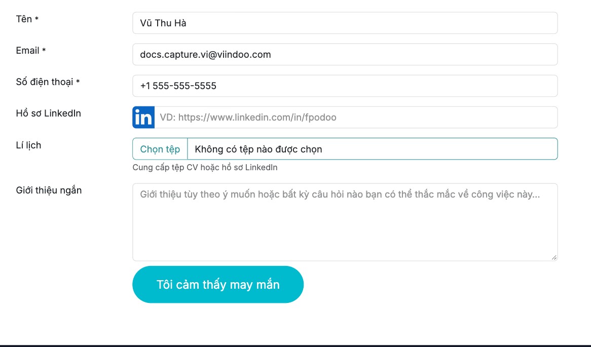 Biểu mẫu ứng tuyển trực tuyến của một vị trí công việc
