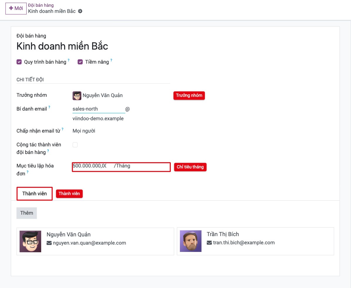 Form đội bán hàng với trưởng nhóm, bí danh email, mục tiêu lập hóa đơn và thành viên