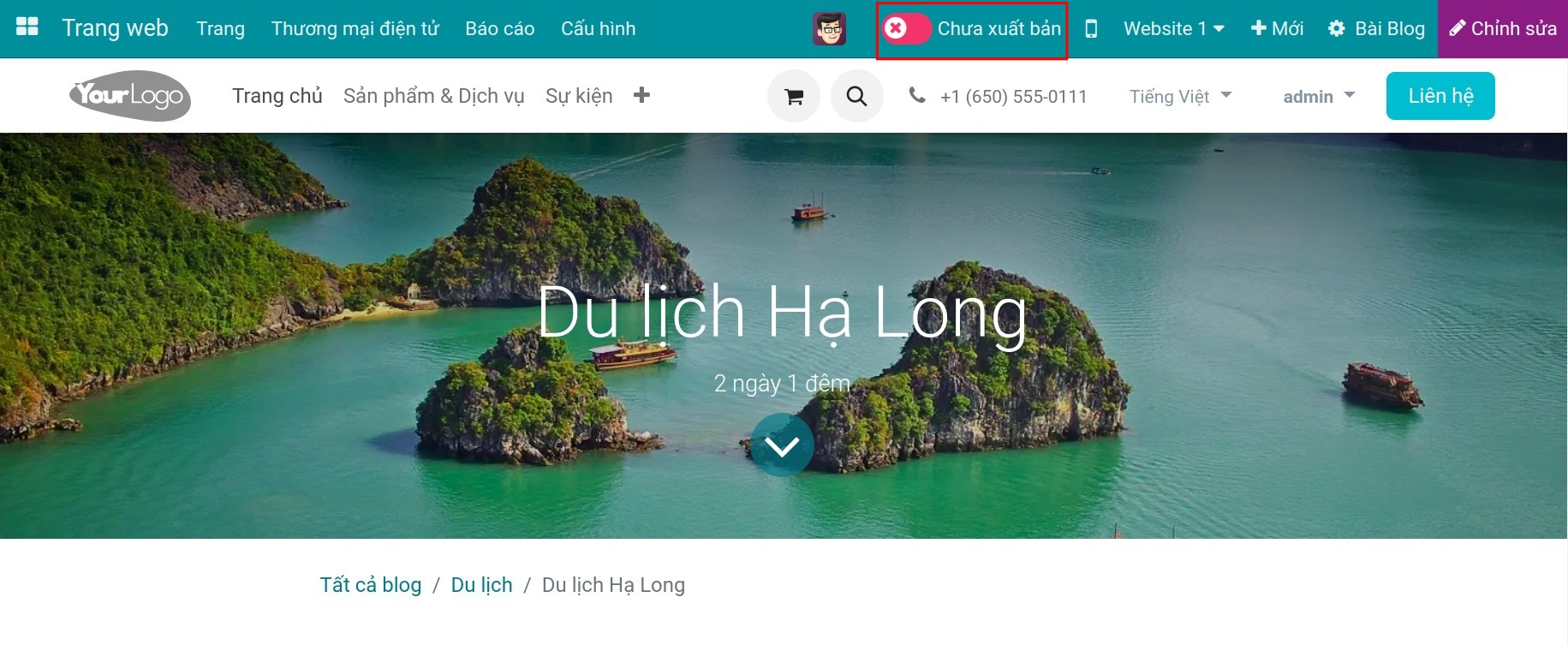 Lựa chọn xuất bản blog