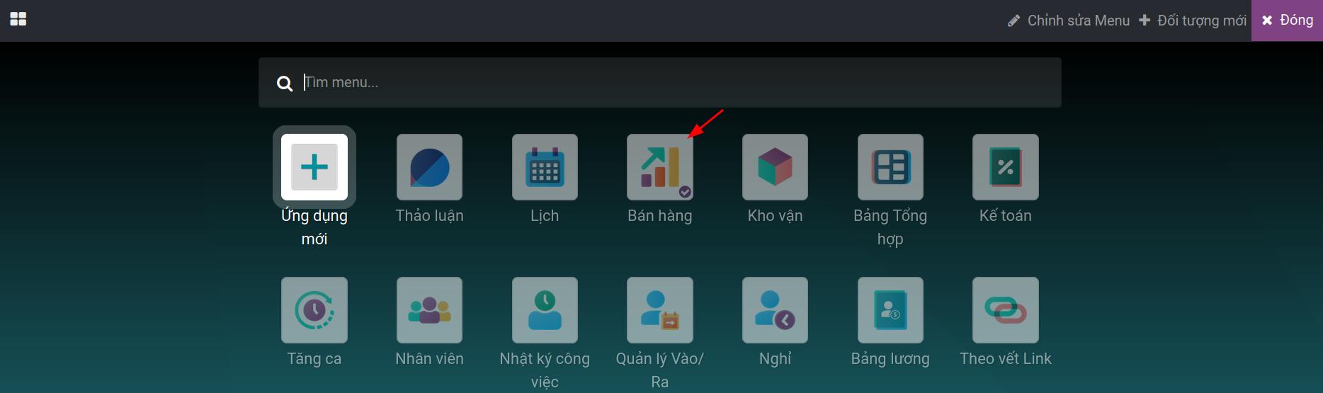 Giao diện trình tùy chỉnh Viindoo