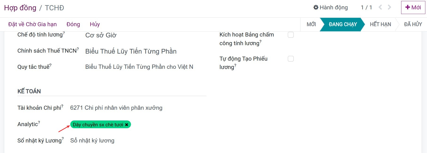 Tài khoản kế toán quản trị trên hợp đồng nhân viên Viindoo
