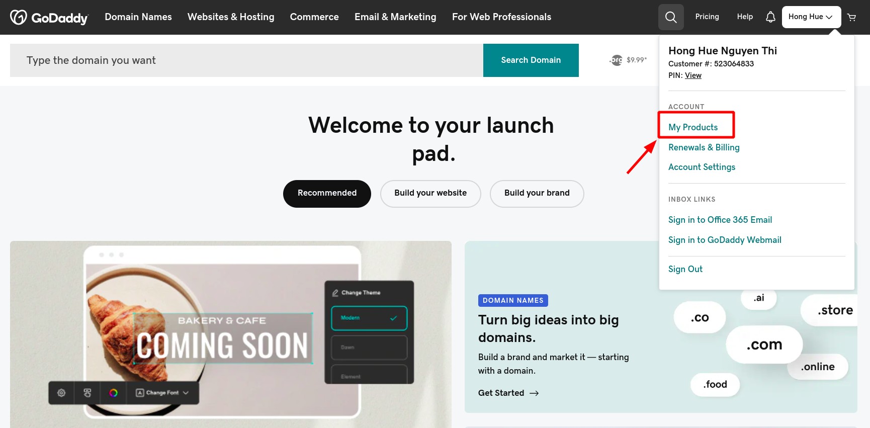 access to goddady website