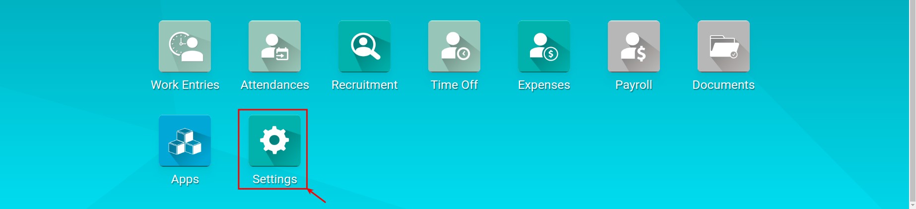Viindoo Setting Menu