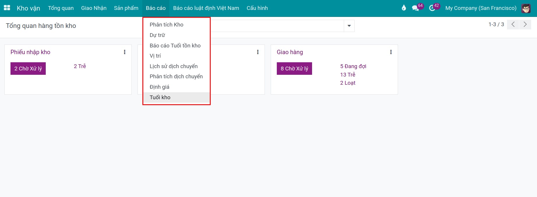 Các báo cáo kho mặc định của Viindoo