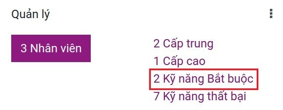 Thống kê kỹ năng bắt buộc theo vai trò trong Viindoo