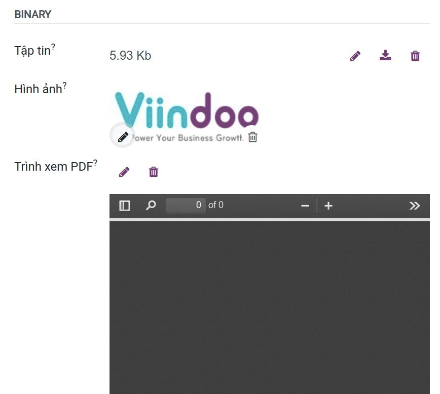 Trường kiểu nhị phân và widget được hỗ trợ